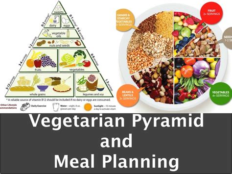 Vegetarian Diet Food Pyramid And Meal Planning Bhavnas Kitchen And Living
