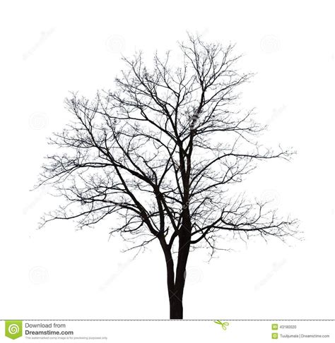 silhouette winter tree - Buscar con Google | 그림, 나무, 스케치