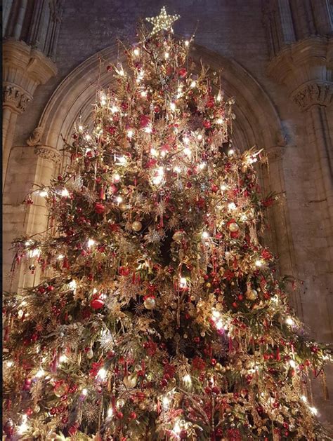 Beautiful Christmas Tree In Ely Cathedral England Christmas Tree