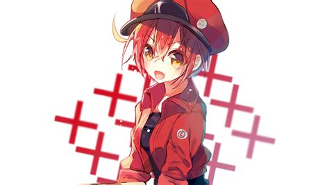 Red Blood Cell 4k 8k Hd Cells At Work Hataraku Saibou Wallpaper