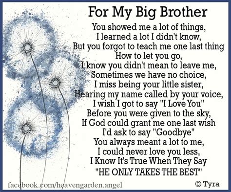 memorial poems big brother gone heavens garden brother poems from sister miss you brother