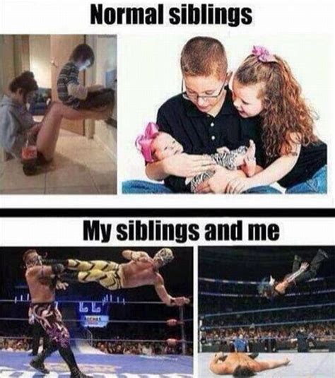 The Funniest Sibling Rivalry Pictures Barnorama