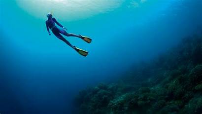 Diving Freediving Caribbean Diver Winter Plunge Taking