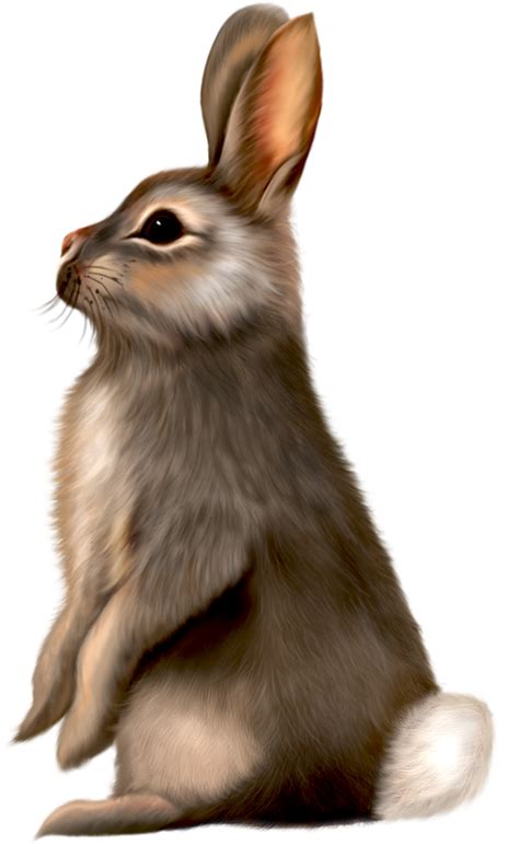 Painted Brown Bunny Clipart 0 Clipartix