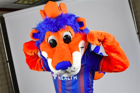 Fc Cincinnati Introduce Their New Mascot Gary The Lion
