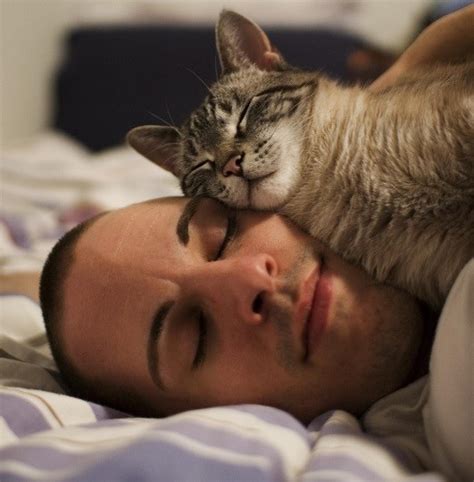 17 Adorable Photos Of Pets Sleeping In Bed With Their Humans Sleeping