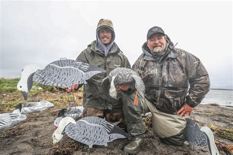 Aleutian Island Waterfowlers Guided Waterfowl Hunting Alaska
