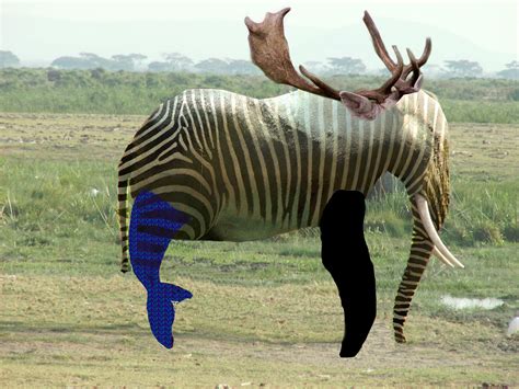 My Album Hybrid Animals As The Results Of Photoshopped