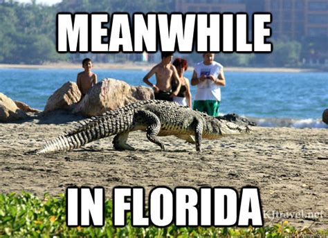 here are 9 jokes about florida that are actually funny