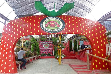 Lokasi sangat strategik berhampiran dengan pelbagai tempat menarik di sekitar cameron highland. 27 Tempat Menarik Di Cameron Highland 2018 (Panduan Lengkap)
