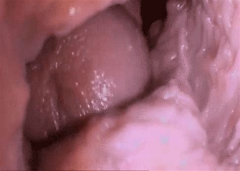 Penis Ejaculating Into Vagina Ejaculation Educational Video