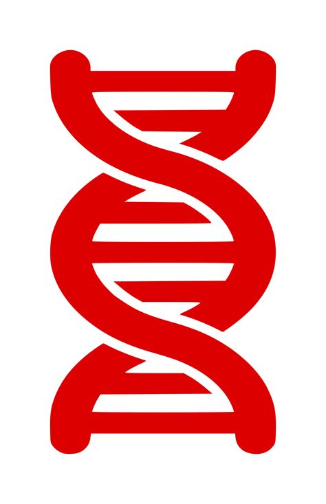 Dna Vector Free Download At Getdrawings Free Download