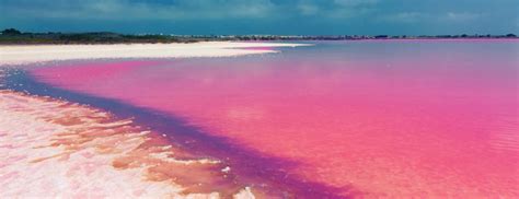 The Pink Lagoon Of Torrevieja A Unique Place In The Province Of Alicante
