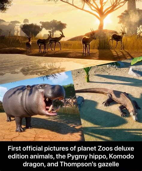 First Official Pictures Of Planet Zoos Deluxe Edition Animals The