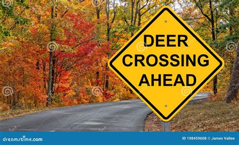 Deer Crossing Warning Sign Stock Photo Image Of Roadsign 198459608