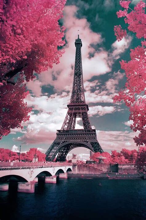 Eiffel Tower And Pink Flowers Paris Wallpaper Tour Eiffel Eiffel Tower