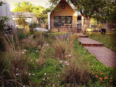 Pocket Prairie Tips On How To Make A Small Prairie In Your Garden
