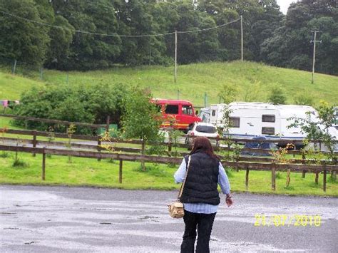 Pirates Plunge Picture Of Westport House Camping And Caravan Park