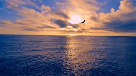 Ocean Sunset Free Stock Photo Public Domain Pictures