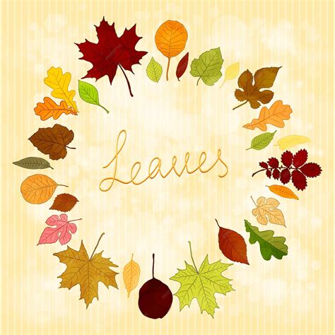 Premium Vector Autumn Leaves Vector Background