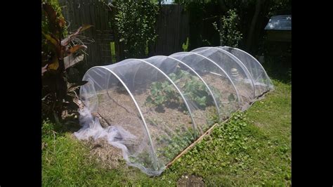Vegetable Garden Insect Netting Garden Ftempo