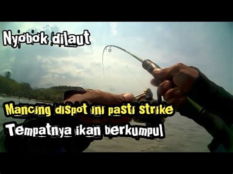 Pt energi pelabuhan indonesia merupakan salah satu anak perusahaan dari pt pelabuhan. Nyobok/ngoyor dilaut pelabuhan batang sarangnya ikan kerapu - YouTube