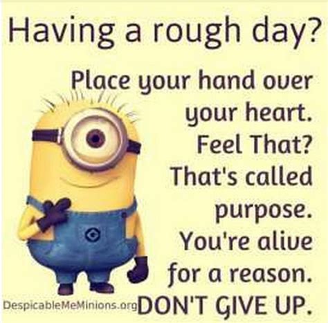 Minion Quotes Gallery Of The Hour 110541 Pm Wednesday 23 March