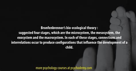 Bronfenbrenners Bio Ecological Theory Suggested Four Stages Which