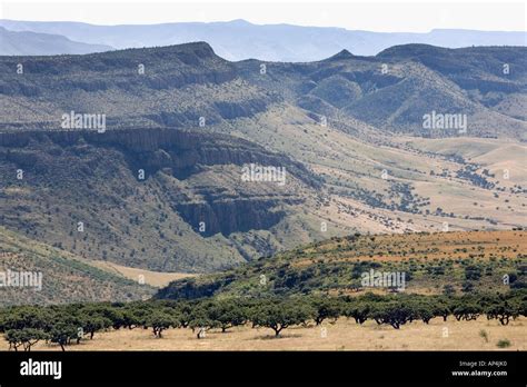 Las Montañas De La Sierra Tarahumara En El Estado De Chihuahua México