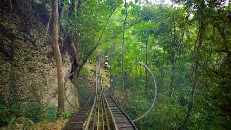 Mystic Mountain In Montego Bay Expediaca