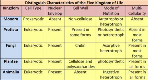 Characteristics Of The 5 Kingdoms Fungi Animalia