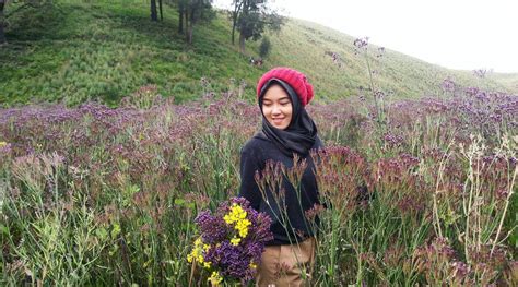 Permohonan yang lewat selepas tarikh tutup tidak akan. Pendaftaran Pendakian Gunung Semeru Secara Online akan ...