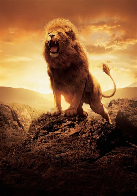 After coming back, she soon returns to narnia with her brothers, peter (william there they join the magical lion, aslan (liam neeson), in the fight against the evil white witch, jadis (tilda swinton). The Chronicles of Narnia: The Lion, the Witch and the ...
