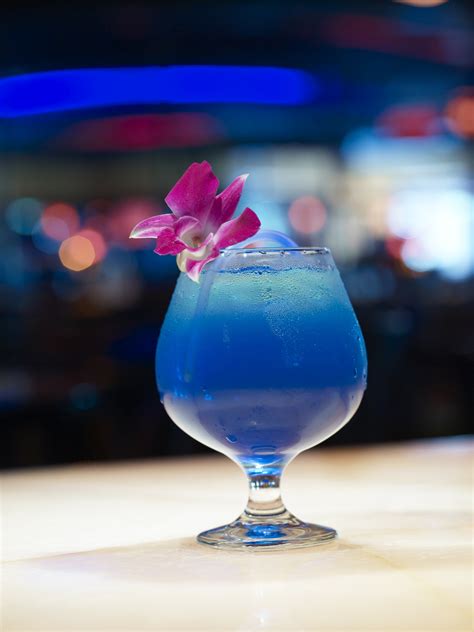 Blue Martini Las Vegas Wheretraveler