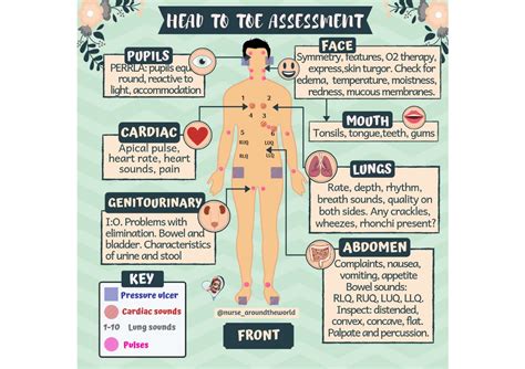 Head To Toe Assessment Chart