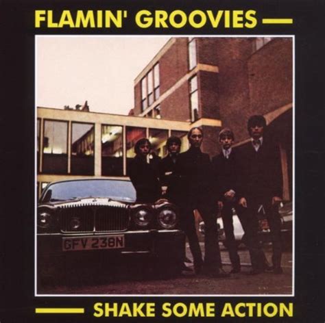 Shake Some Action Sheet Music By The Flamin Groovies Guitar Chords