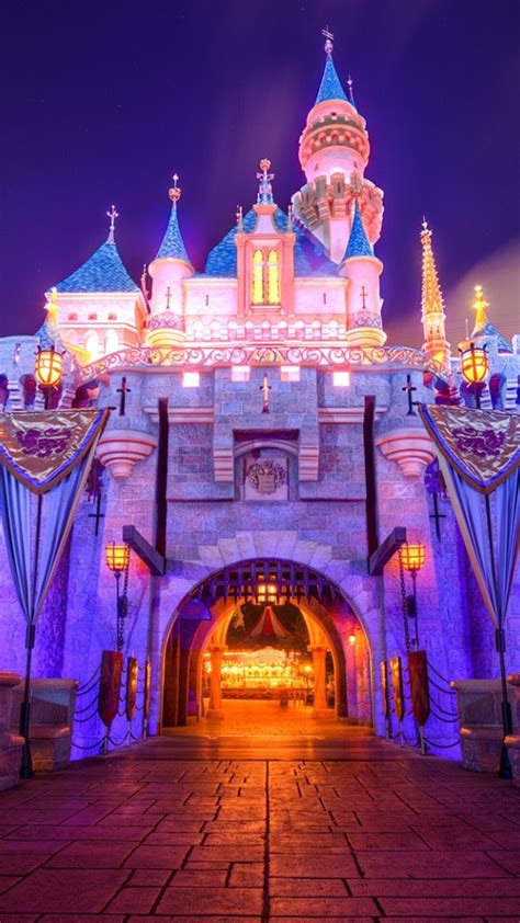Disneyland Castle Beautiful In The Night Wallpaper
