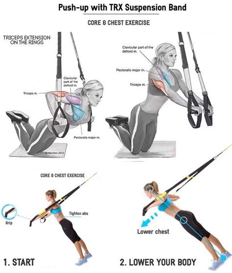 The Best 7 Full Body Trx Workout Benefits Tips And Training Guide
