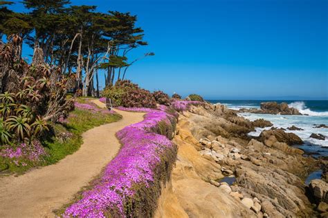 15 Best And Fun Things To Do In Monterey Ca Attraction And Amazing