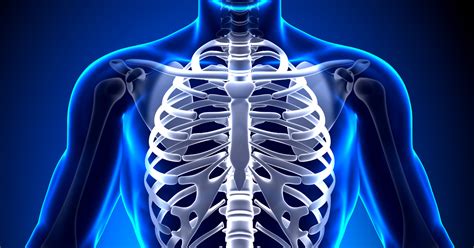 4 Reasons To Mobilize Your Rib Cage Now