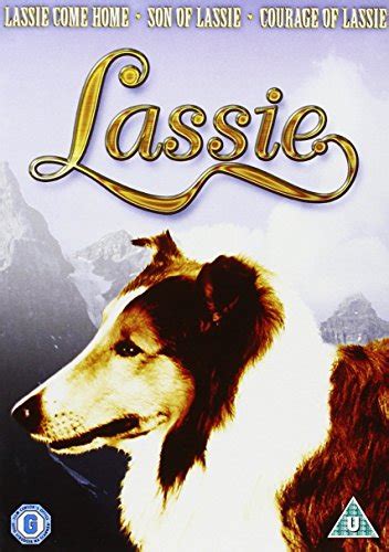 Lassie The Literary Wonder Dog Gods Own Countygods Own County