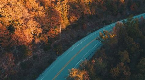 1080x2340 Beautiful Road And Forest In Fall 1080x2340 Resolution