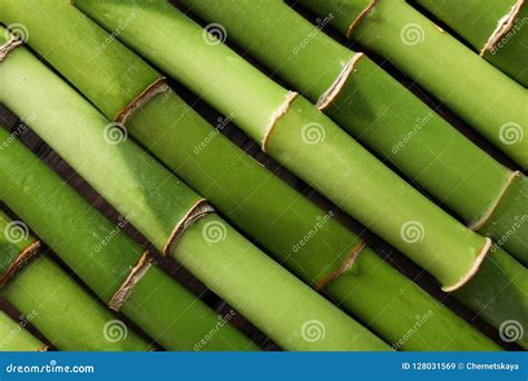 Tiges En Bambou Vertes Comme Fond Image Stock Image Du Contexte