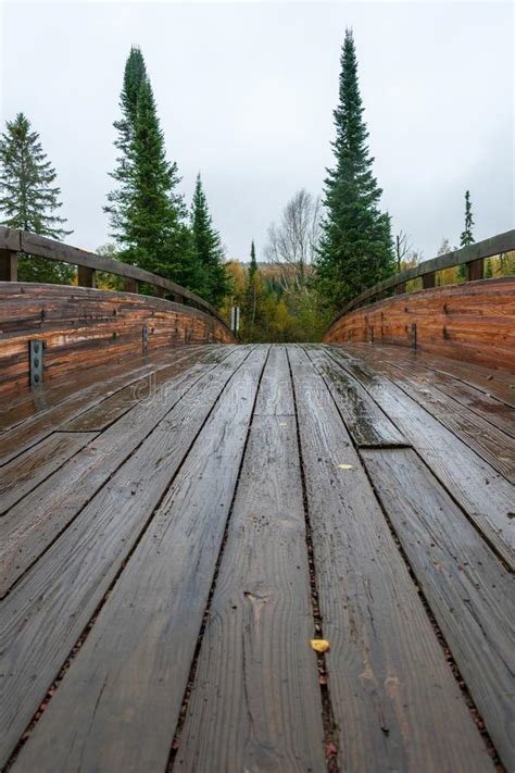 Wooden Bridge Leading Into The Wilderness On Rainy Day Vertical Stock