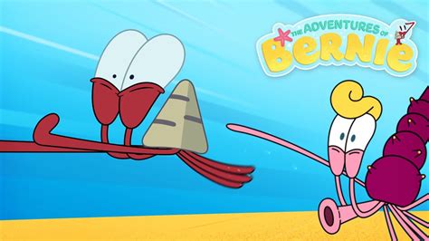 New The Adventures Of Bernie 🔥 High Speed Chase💥 Zig And Sharko