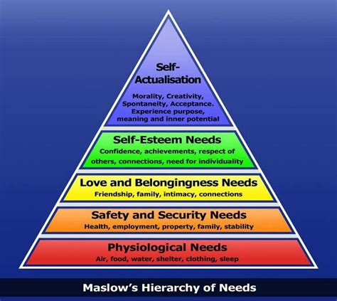 Maslow Heirachy Of Needs Stages Of Psychosocial Development Maslows