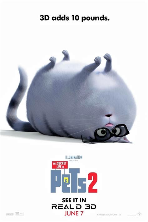 The Secret Life Of Pets 2 2019 Posters — The Movie Database Tmdb