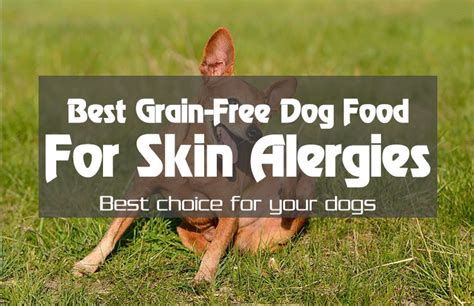 Common things found in food that your dog may be allergic to For Better Dog Health: The 5 Best Grain-Free Dog Food for ...