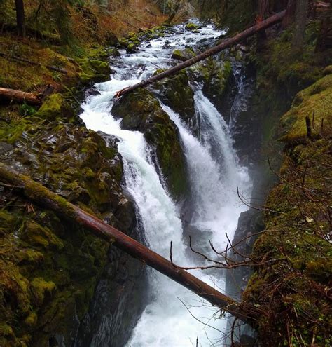 5 Best Olympic National Park Waterfalls Ordinary Adventures