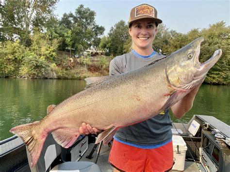 Sacramento River Salmon Fishing Report — Jeff Goodwin Fishing